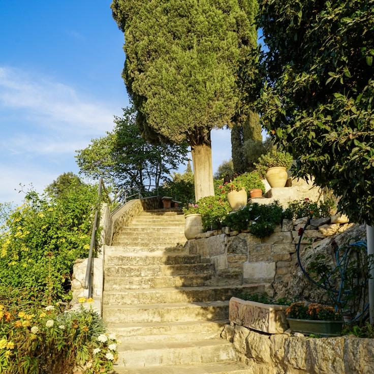 Family-friendly dining with comfortable seating